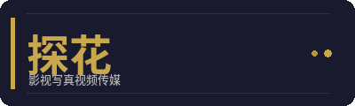 探花影视写真传媒Logo